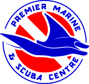 PMS logo